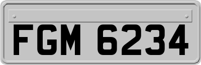 FGM6234