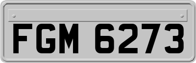 FGM6273