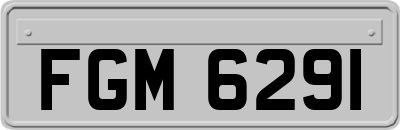 FGM6291