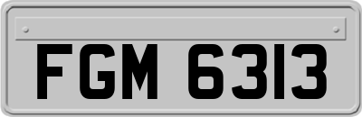 FGM6313