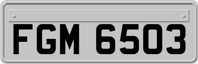 FGM6503