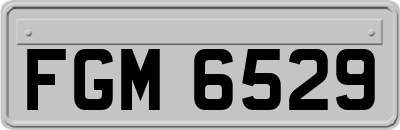 FGM6529