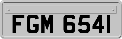 FGM6541