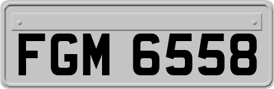 FGM6558