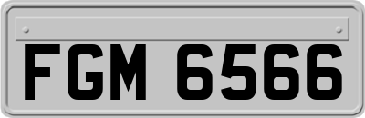 FGM6566