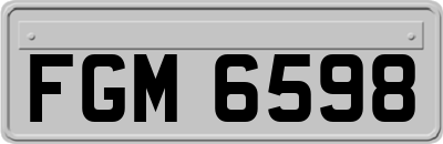 FGM6598