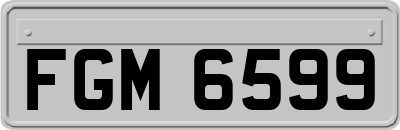 FGM6599