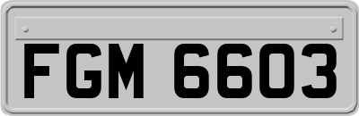 FGM6603