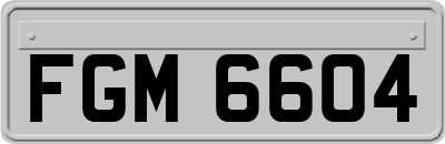 FGM6604