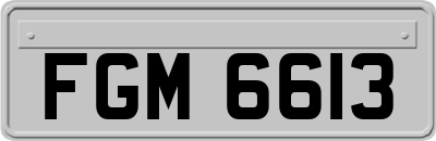 FGM6613