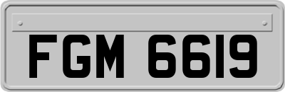FGM6619