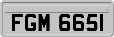 FGM6651