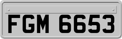 FGM6653