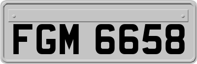 FGM6658