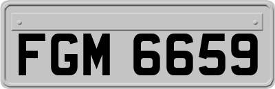 FGM6659