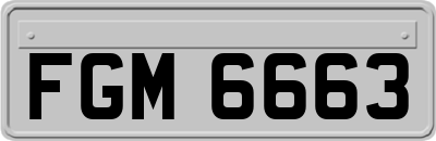 FGM6663