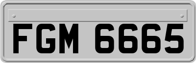 FGM6665