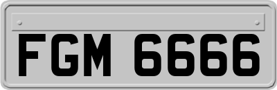 FGM6666