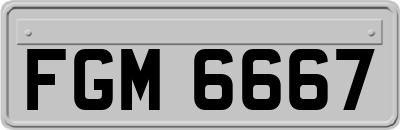 FGM6667