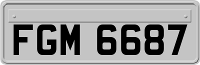 FGM6687