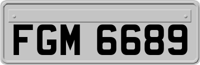 FGM6689