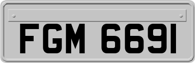 FGM6691