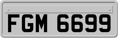 FGM6699
