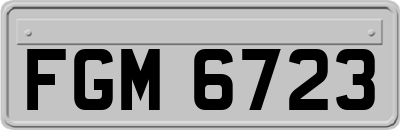FGM6723