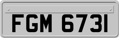 FGM6731