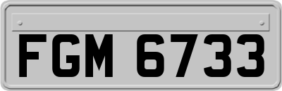 FGM6733