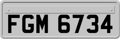 FGM6734