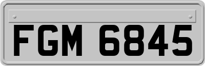 FGM6845