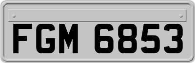 FGM6853