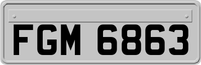 FGM6863
