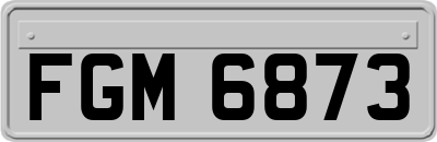FGM6873