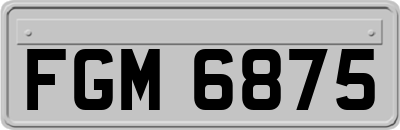 FGM6875