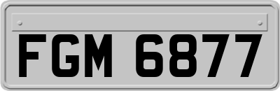 FGM6877
