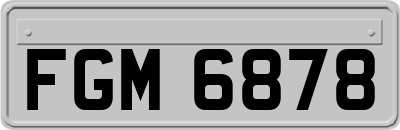 FGM6878
