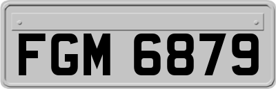 FGM6879