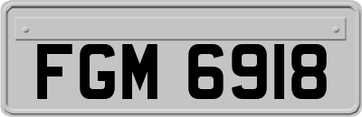 FGM6918