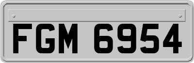 FGM6954