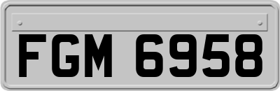 FGM6958