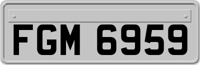 FGM6959