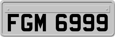 FGM6999