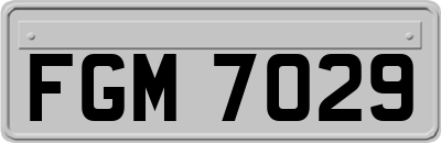FGM7029