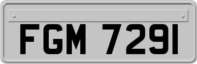 FGM7291