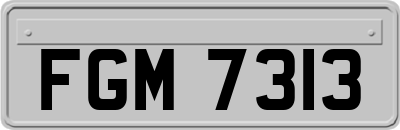 FGM7313