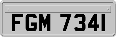 FGM7341