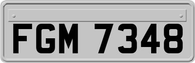 FGM7348
