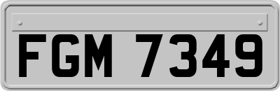 FGM7349